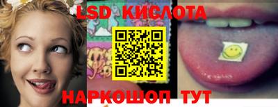 гидра Славгород