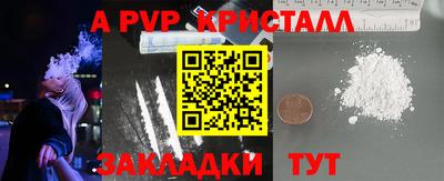 гидра Славгород