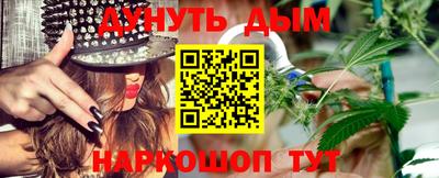 гидра Славгород
